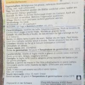 Pflucksaltat 2026-03-19 14.30.